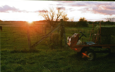 haflinger hay delivery4.jpg