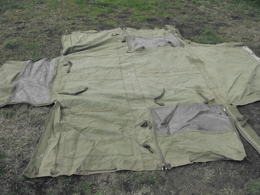 Haflinger canvas top 120 shrunk.jpg