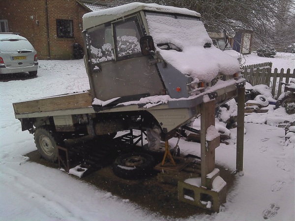 Haflinger in the snow.jpg