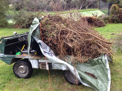 carting weeds