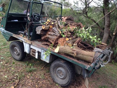 carting logs up the hill for fire wood