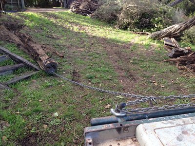 pulling dead tea tree stumps out!!<br />The big pile of dead stuuf was all caried by the Huffa Puffa!