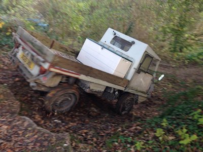 Haflinger at butchers wood.jpg